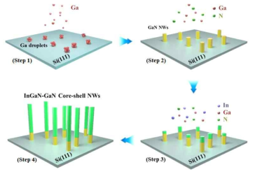 Schematic illustration for the formation of InGaN-GaN core-shell NWs