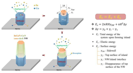 Formation mechanism of an InGaN-GaN core-shell NW by supplying In, Ga, and N atoms