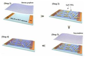 Schematic illustration for the fabrication process of a GaN-NW photosensor