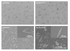 FE-SEM images of GaN-NW photosensors; (a) Si-PS1, (b) PET-PS1, (c) Si-PS2, and (d) PET-PS2