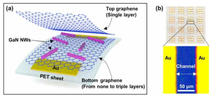 (a) Schematic of the fabrication process of a flexible GaN-NW photosensor and (b) optical microscope images of fabricated photosensors (top) and a magnified image of a single device (bottom)