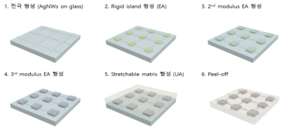 Schematic description for fabrication of Ag NWs-based selectively stretchable electrode/substrate. (EA: Epoxy acrylate, UA: Urethane acrylate)