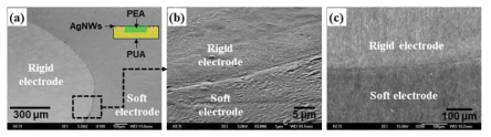 Interface between rigid island and soft matrix all of which includes embedded Ag NW-based electrode