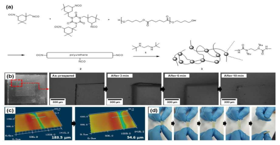 (a) Scheme for synthesis of polyurethane urea (PUU). (b) A photograph showing that a smaller piece of PUU film is placed on a larger one. The sample was held at 60 °C for 10 min. (c) Change of depth profile of cutting mark on a PUU film before and after heat treatment at 60 °C for 10 min. (d) A photograph taken during stretching of a sample fabricated by self-integration of two identical PUU films