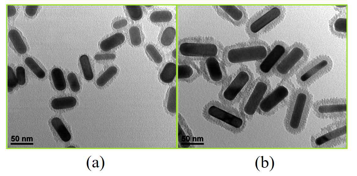 TEM imges of synthesised NR-I and NR-Ⅱ Aurod@SiO2 core-shell NP QDs colloids