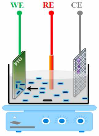 Schematic of EPD setup with three electrodes