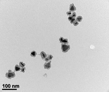 TEM imges of synthesised Agprism@SiO2 core-shell NP QDs colloids