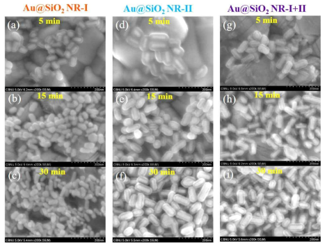 FE-SEM imges of synthesised NR-I, NR-Ⅱ and NR-((I + II) Aurod@SiO2 core-shell NP QDs colloids loaded FTO electrodes