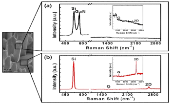 (a) Raman spectrum of n-GaN NW grown on graphene. (b) Raman spectrum on the bottum between the n-GaN NWs
