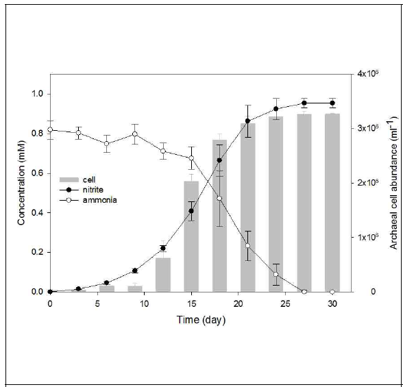 암모니아 산화에 따른 아질산의 생성과 고세균 cell의 성장 곡선