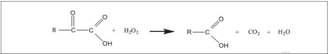 a-keto acid와 과산화수소의 decarboxylation