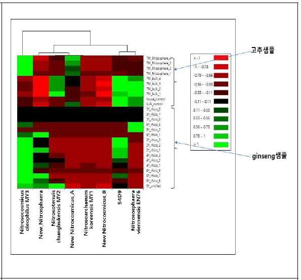 고추 (Capsicum annuum), 인삼 (Panax ginseng) 샘플 내 특정 AOA 점유율 관련 Heatmap