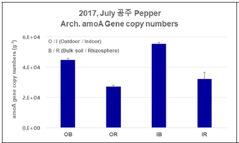 2017년 고추 (Capsicum annuum) 샘플의 Arch. amoA gene based qPCR 결과