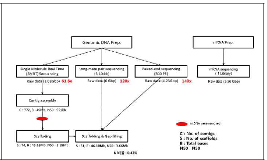 Iso-seq 분석을 위한 platform 작성 (표고 유전체 정보 활용)