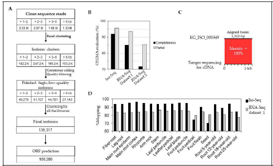 Iso-seq 분석을 통한 인삼의 Full length transcripts 대량 확보