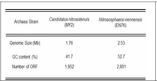 고세균 MY2 & EN76의 유전체 정보