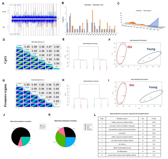 노화 마우스의 두개골 조직의 Methylome 분석