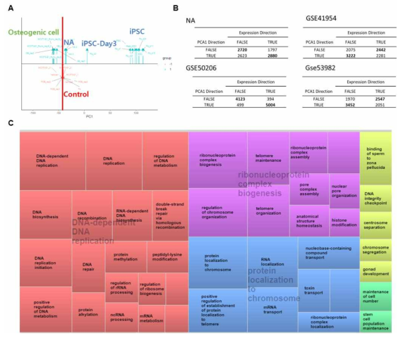 조골세포에 니코틴아마이드(NA) 처리 시 나타나는 Transcriptome 분석