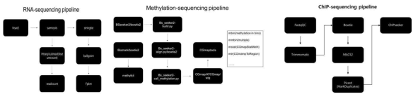 기초연구실 자체 구축 RNA, Methyl, ChIP sequencing 데이터 분석 파이프라인 모식도