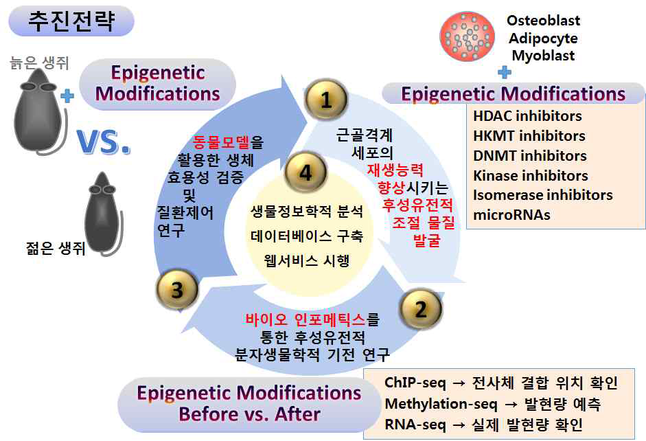 연구추진체계 및 역할