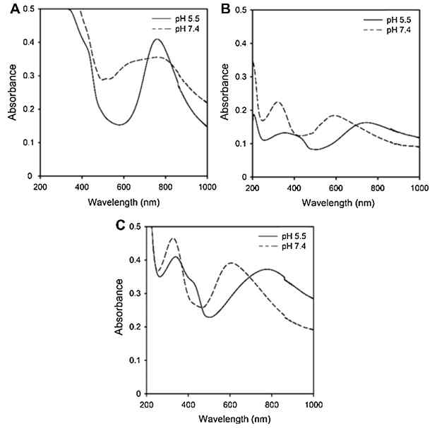 pH 7.4 및 pH 5.5에서 (A) PAN-ND, (B) PAN1 및 (C) PAN3의 UV/vis/NIR 흡수 스펙트럼