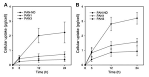 3, 12 및 24시간 배양 후 (A) NIH/3T3 및 (B) HeLa 세포에서 PAN-ND, PAN1 및 PAN3의 세포 흡수량