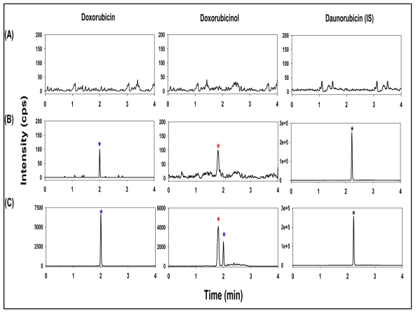 (A) 공혈장에서의 독소루비신, 독소루비시놀, 내부표준물질(다우노루비신)의 LC-MS/MS 크로마토그램. (B) 독소루비신(* 1 ng/mL), 독소루비시놀(* 1 ng/mL), 내부표준물질(* 다우노루비신)의 LC-MS/MS 크로마토그램. (C) ICR 마우스에 독소루비신 5 mg/kg으로 복강 내 투여 24시간 후 혈장 내 독소루비신, 독소루비시놀의 LC-MS/MS 크로마토그램