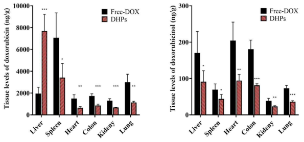 독소루비신과 혼성나노입자를 투여 후 24시간 뒤의 독소루비신(왼쪽)과 독소루비신올(오른쪽)의 조직내에서의 농도 *P < 0.05; **P < 0.01; ***P < 0.001, 독소루비신과의 비교, 각 각의 바는 표준편차를 나타냄