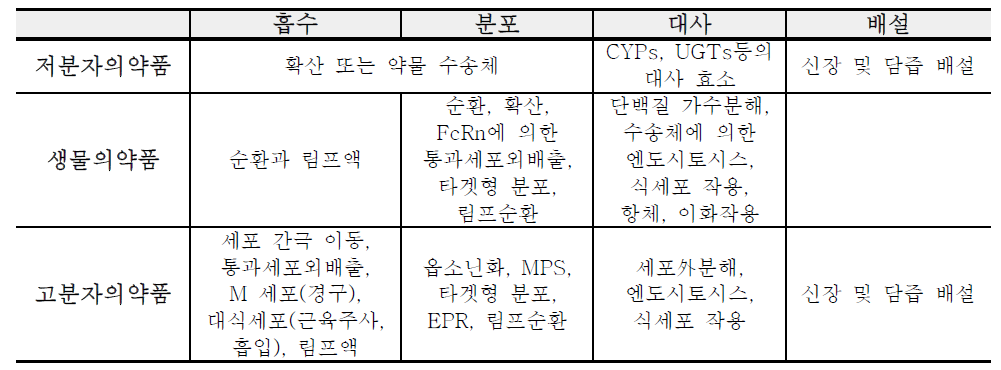 저분자 의약품, 생물 의약품 그리고 고분자가 포함된 약물의 ADME 특성