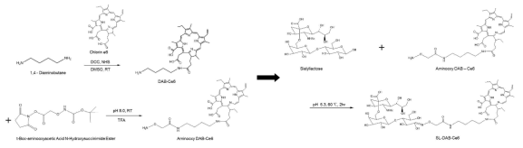 바이러스 표적화 기능을 가지는 6SL-DAB-Ce6의 합성 도식