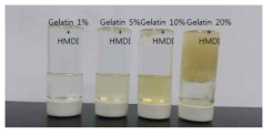 젤라틴 농도에 따른 sol-gel 변화