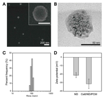 온도 인지 특성 탄소 약물전달체 제형의 SEM(A), TEM(B), 크기(C), 제타 전위(D) 결과