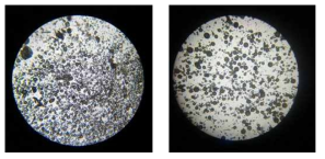 교반 직 후의 에멜젼 (왼쪽)과 24시간 후 반응이 진행된 후 (오른쪽) 광학현미경 사진
