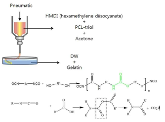 3D 프린팅을 이용한 PCL-triol, HMDI, gelatin 혼성 고분자 스캐폴드 제작의 모식도와 합성 매커니즘