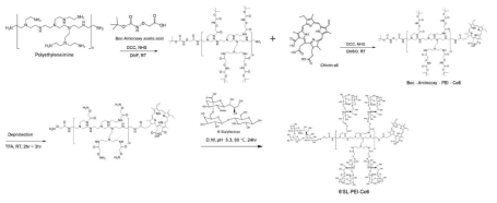 바이러스 표적화 기능을 가진 가지형 혼성고분자 구조체 6SL-PEI-Ce6의 합성도식