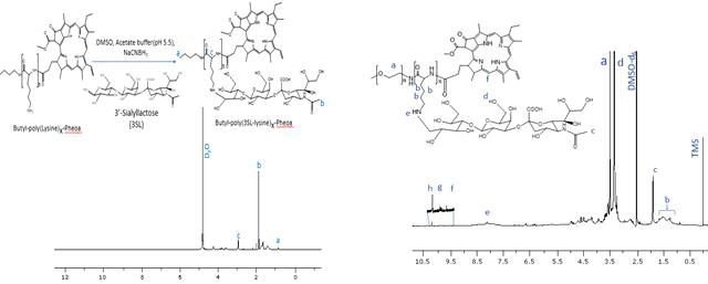 Butyl-Poly(3SL-lysine)x-PheoA, (X=10)와 mPEG-Poly(3SL-lysine)x-PheoA, (X=10)의 1H-NMR 그래프