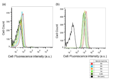 (a) 6SL-PEG-Ce6, (b) 6SL-DAB-Ce6 시간별 세포내 유입된 정도
