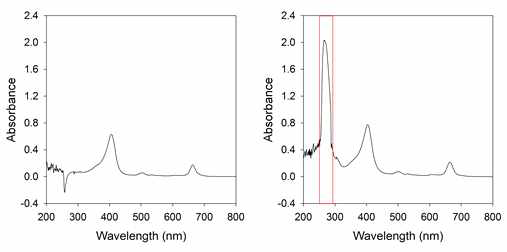PEG-Ce6와 Aptamer-PEG-Ce6의 UV peak