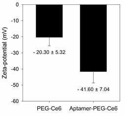 Aptamer접합 전후의 제타 전위 비교