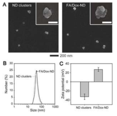 Folic acid 접합 금속 나노입자 제형 SEM(A), 크기 및 제타 전위 결과(B)