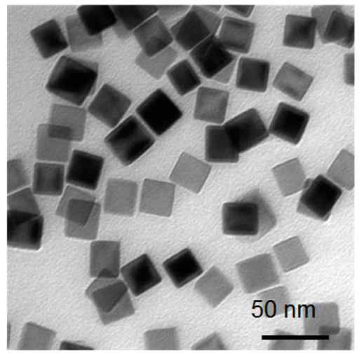 산화철 나노큐브의 TEM 이미지 (scale bar 50 nm)