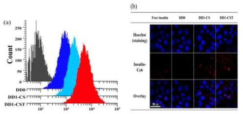 (a) 유세포 분석기를 통해 pH 7.4 환경에서 Caco-2 세포에 대한 DD0, DD1-CS 및 DD1-CST(Ce6 함량 기준 1 μg/mL) 처리 4시간 후 세포 흡수정도 확인(대조군; 리포좀 미처리 세포군).(b) 공초점 현미경을 이용해 각 7.4 환경에서 Caco-2 세포에 대한 DD0, DD1-CS 및 DD1-CST(Ce6 함량 기준 1 μg/ml) 처리 4시간 후 세포 흡수정도 확인[Hoechst(파랑); 세포 핵 염색, Insulin-Ce6(빨강); 리포좀, Overlay; Hoechst/Insulin-Ce6 교차 이미지)