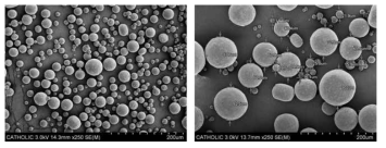 6SL-DAB-Ce6가 포함된 microsphere의 주사전자현미경 사진