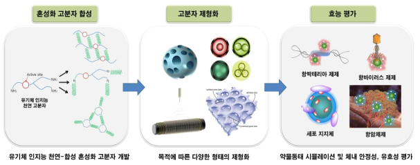 연구 개요