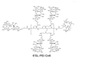 6´-sialyllcaose-PEI-Ce6의 화학 구조