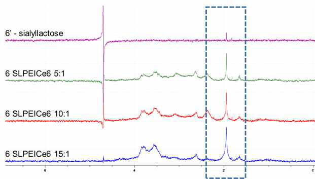 6SL-PEI-Ce6에 6SL가 수식되어 있는 정도에 따라 바이러스가 상호작용하는 정도를 확인하기 위해 STD-NMR 실험 결과