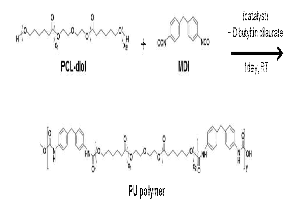생분해성 PU의 반응 컨셉 그림. 생분해성 PU는 PCL-diol과 MDI를 Dibutyltin dilaurate를 촉매로 하여 상온에서 24시간 반응하여 제조함