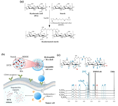 (a) Hyaluronated starch의 합성 모식도. (b) Hyaluronated starch의 DTX 전달 모식도. (c) Hyaluronated starch 샘플의 1H-NMR 피크 [S1HAx, x는 starch(S) 1 몰에 가교된 HA의 몰수를 나타냄