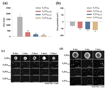 S1HAx 나노겔(0.1 mg/mL, pH 7.4)의 (a) 입자크기와 (b) 제타 전위(n=3). (c) PBS(pH 7.4, 150 mM)에서 5일 동안 배양한 S1HAx 나노겔의 FE-SEM 이미지. (d) Hyal-1 효소(150 U/mL)를 넣은 PBS(pH 7.4, 150 mM)에서 2일 동안 배양한 S1HAx 나노겔의 FE-SEM 이미지