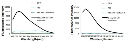 타우 피브릴의 Thioflavin-S assay과 베타-아밀로이드 피브릴의 Thioflavin-T assay 결과